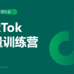 生财有术第三期TikTok流量增长训练营（完结）附PPT-网创指引人