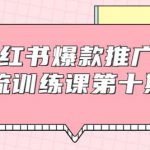 狼叔小红书爆款推广引流训练课第十期，手把手带你玩转小红书，轻松月入过万-网创指引人