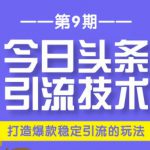 狼叔今日头条引流技术第9期：为什么做今日头条引流？如何做好头条引流？-网创指引人