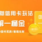 2021全新信用卡玩法：快速提额/0首付买房/套现生财，赚到第一桶金-网创指引人