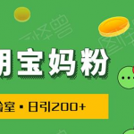 日引200+预产期宝妈粉，从预产期到K12教育持续转化…操作方法简单-网创指引人