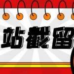 网站截流项目：自动化快速、长久赚钱，实战3天即可躺赚400+每天【原价999】-网创指引人