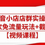 大海抖音小店店群实操课：猜你喜欢免流量玩法+截流2.0【视频课程】-网创指引人