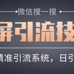 微信搜一搜霸屏引流技术，打造被动精准引流系统，轻松日引300+流量【第五课-网创指引人