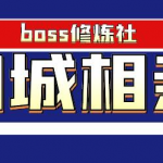 boss修炼社年赚百万同城相亲项目，这个项目依然很赚钱【付费文章】-网创指引人