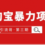 引流哥第3期淘宝暴利项目：每天10-30分钟的空闲时间，有淘宝号，会玩淘宝-网创指引人