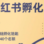 勇哥小红书撸金快速起量项目：教你如何快速起号获得曝光，做到月躺赚在3000+-网创指引人