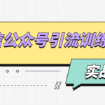 微信公众号引流训练营：日引100+流量实战方法+批量霸屏秘笈+排名置顶黑科技-网创指引人