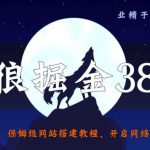 侠狼掘金38招第2招图片付费解析站，实现躺赚年入50万【视频课程】-网创指引人