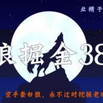 侠狼掘金38招第5招空手套白狼，永不过时挖掘老域名技术【视频课程】-网创指引人