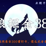 侠狼掘金38招第7招：新版网易云300首打卡，傻瓜式全自动挂机玩法【视频课程】-网创指引人