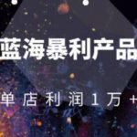 淘宝蓝海暴利产品操盘教程：从零到单店利润10000+详细实操（付费文章）-网创指引人