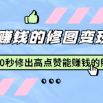 赵洋·轻松赚钱的修图变现项目：10秒修出高点赞能赚钱的照片（18节视频课）-网创指引人