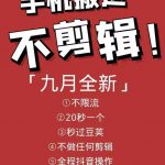 9月9日最新抖音搬运技术，原封不动搬运，不用剪辑，，全程抖音操作，不封dou-网创指引人