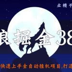 侠狼掘金38招第15招快速上手全自动挂机项目,打造挂机工作室【视频课程】-网创指引人