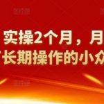 祖小来：实操2个月，月收益2万+，可长期操作的小众项目