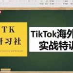 TK研习社·TikTok海外掘金实操特训营：运营实操，变现赚钱【视频课程】-网创指引人