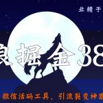 侠狼掘金38招第18招微信活码工具，引流裂变神器快速变现【视频课程】-网创指引人