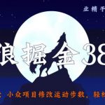 侠狼掘金38招第20招羊毛全自动采集站，点爆你的精准流量【视频课程】-网创指引人