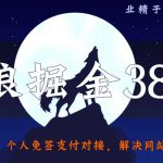 侠狼掘金38招第23招个人免签支付对接，解决网站收款难题【视频课程】-网创指引人