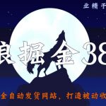 侠狼掘金38招第24招全自动发货网站，打造被动收入必备绝技【视频课程】-网创指引人