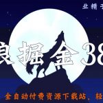 侠狼掘金38招第25招全自动付费资源下载站，轻松月入3w+【视频课程】-网创指引人