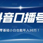 2021年抖音最赚钱的口播号项目，零基础小白也能保底年入30万-网创指引人