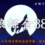 侠狼掘金38招第19招小众项目修改运动步数，轻松日入300+【视频课程】-网创指引人