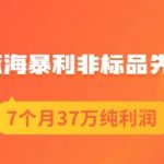 盗坤淘宝蓝海暴利非标品先品思路，7个月37万纯利润，压箱干货分享！【付费文章】