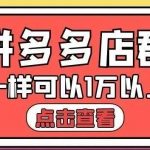 大凯电商·拼多多店群单店一样可以产出1万5以上利润【付费文章】-网创指引人