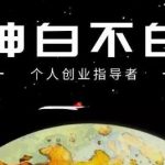 绅白不白·抖音0撸项目：单日收益500，不发作品，不养号【视频课程】-网创指引人