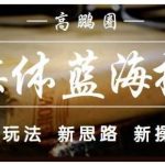 高鹏圈·自媒体蓝海搬运项目：单号收益每月基本都可以达到5000+，可批量-网创指引人