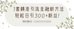 1套精准引流金融粉方法，轻松日引300+粉丝【视频课程】-网创指引人