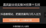 嘉宾副业说实操36技第十五技：抖音教程站，把握流量风口月入过万-网创指引人