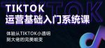 Tiktok实操进阶课程，体验从tiktok小透明到大佬的完美蜕变-网创指引人