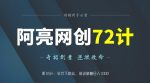 阿亮网创72计第18计：软件下载站，被动躺赚日入1000-网创指引人