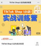 疯人院TikTok Shop小店先疯训练营，开启2022年海外小店带货，从0到1掌握TK小店运营技巧-网创指引人