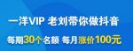 一洋电商抖音VIP，每月集训课+实时答疑+资源共享+联盟合作价值580元-网创指引人