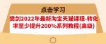 樊剑2022年最新淘宝天猫课程-转化率至少提升200%系列教程(高级)-网创指引人