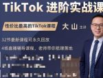 大山老师TikTok进阶实战课：账号详解，流量运营，实战变现，助力你成功出海-网创指引人