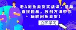 老A闲鱼卖货实战课，简单直接粗暴，独创方法带你玩转闲鱼卖货！-网创指引人