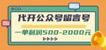 外面卖1799的代开公众号留言号项目，一单利润500-2000元【视频教程】-网创指引人