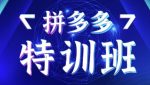 星雪教育·拼多多基础班+进阶班+突破班，用系统的学习模式快速改变现状价值3580元-网创指引人