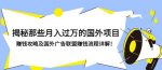 揭秘那些月入过万的国外项目，赚钱攻略及国外广告联盟赚钱流程详解！-网创指引人