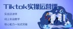 刘博·TikTok实操运营课，手把手账号实战，适合零基础Tiktok新人-网创指引人