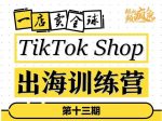 TikTokShop出海训练营（第十三期），打开全球流量新思维，出海抢占全球新流量，一店卖全球-网创指引人