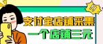 【信息差项目】支付宝店铺采集项目，只需拍三张照片，轻松日赚300-500-网创指引人