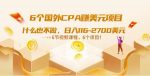 6个国外CPA赚美元项目：什么也不做，日入116-2700美元（6节视频课）-网创指引人