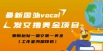 最新国外vocal发文撸美金项目，复制粘贴一篇文章一美金【工作室内部项目】-网创指引人