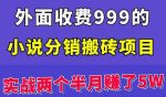 外面收费999的小说分销搬砖项目：实战两个半月赚了5W块，操作简单！-网创指引人